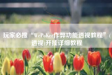 玩家必搜“WePoKer作弊功能透视教程”(透视)开挂详细教程