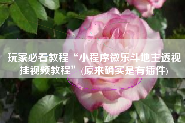 玩家必看教程“小程序微乐斗地主透视挂视频教程”(原来确实是有插件)