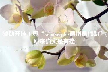 辅助开挂工具“wepokerplus德州局辅助”(原来确实是有挂)