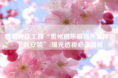 辅助开挂工具“贵州微乐麻将外卦神器下载安装”(曝光透视必备猫腻