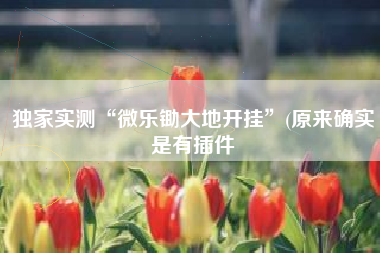 独家实测“微乐锄大地开挂	”(原来确实是有插件