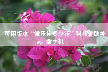 可用版本“微乐挂多少钱”科技辅助神器手机