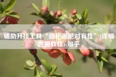 辅助开挂工具“德扑圈绝对有挂”(详细透视教程)-知乎