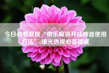 今日必看教程“微乐麻将开挂神器使用方法”(曝光透视必备猫腻