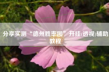 分享实测“德州胜率图”开挂(透视)辅助教程