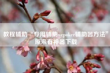 教程辅助“专用辅助wepoker辅助器方法”原来有神器下载