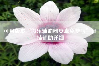 可用版本“微乐辅助器安卓免费版”开挂辅助详细