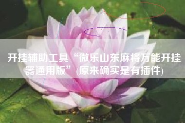 开挂辅助工具“微乐山东麻将万能开挂器通用版”(原来确实是有插件)