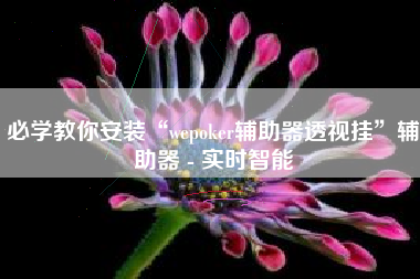 必学教你安装“wepoker辅助器透视挂”辅助器 - 实时智能