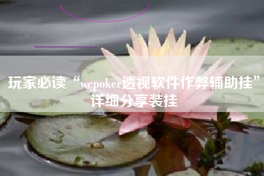 玩家必读“wepoker透视软件作弊辅助挂”详细分享装挂