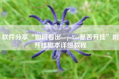 软件分享“如何看出wepoker是否开挂”附开挂脚本详细教程