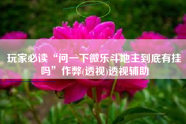 玩家必读“问一下微乐斗地主到底有挂吗”作弊(透视)透视辅助