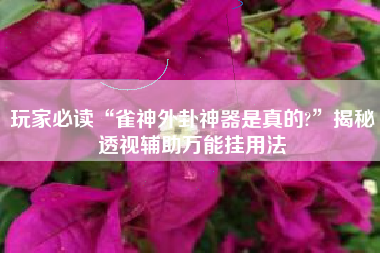 玩家必读“雀神外卦神器是真的?”揭秘透视辅助万能挂用法