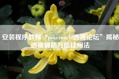 安装程序教程“pokerworld透视论坛”揭秘透视辅助万能挂用法