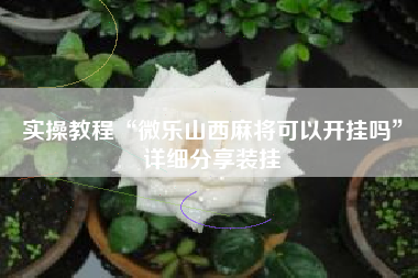 实操教程“微乐山西麻将可以开挂吗	”详细分享装挂