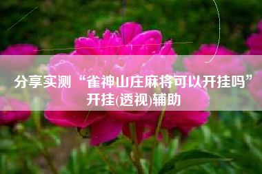 分享实测“雀神山庄麻将可以开挂吗”开挂(透视)辅助