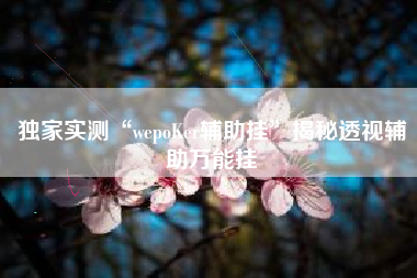 独家实测“wepoKer辅助挂”揭秘透视辅助万能挂