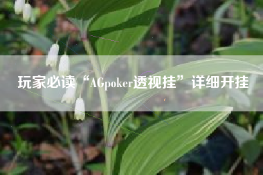 玩家必读“AGpoker透视挂	”详细开挂
