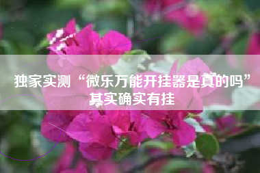 独家实测“微乐万能开挂器是真的吗”其实确实有挂