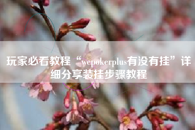 玩家必看教程“wepokerplus有没有挂”详细分享装挂步骤教程