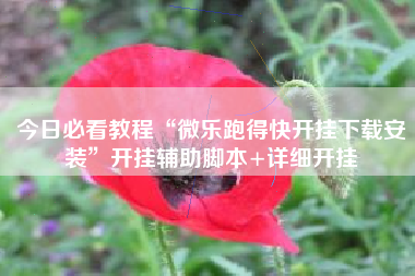 今日必看教程“微乐跑得快开挂下载安装”开挂辅助脚本+详细开挂