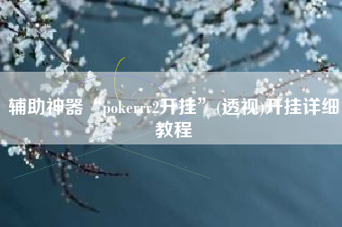 辅助神器“pokerrr2开挂”(透视)开挂详细教程