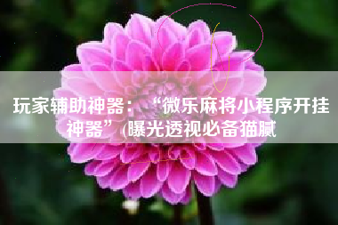 玩家辅助神器：“微乐麻将小程序开挂神器”(曝光透视必备猫腻