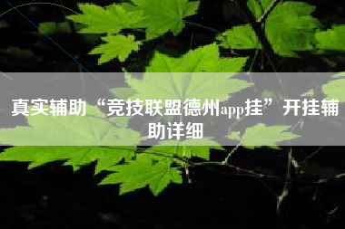 真实辅助“竞技联盟德州app挂”开挂辅助详细