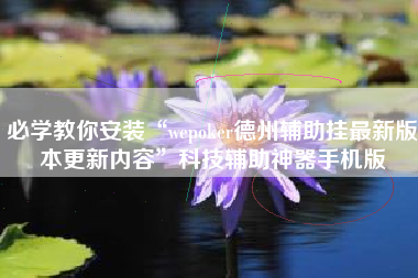 必学教你安装“wepoker德州辅助挂最新版本更新内容”科技辅助神器手机版