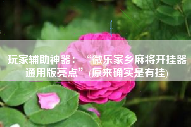 玩家辅助神器：“微乐家乡麻将开挂器通用版亮点”(原来确实是有挂)