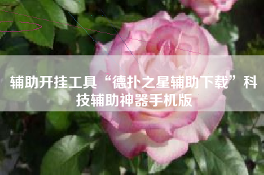 辅助开挂工具“德扑之星辅助下载”科技辅助神器手机版