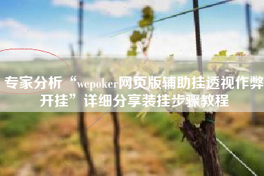 专家分析“wepoker网页版辅助挂透视作弊开挂”详细分享装挂步骤教程