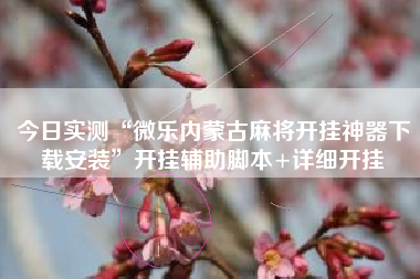 今日实测“微乐内蒙古麻将开挂神器下载安装	”开挂辅助脚本+详细开挂