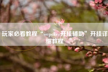 玩家必看教程“wepoker开挂辅助”开挂详细教程