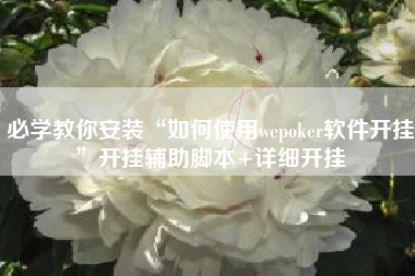 必学教你安装“如何使用wepoker软件开挂”开挂辅助脚本+详细开挂