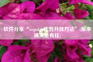 软件分享“wepoker作弊开挂方法”(原来确实是有挂)