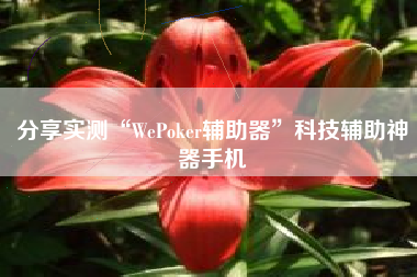 分享实测“WePoker辅助器”科技辅助神器手机