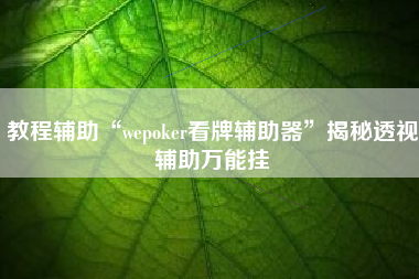 教程辅助“wepoker看牌辅助器”揭秘透视辅助万能挂