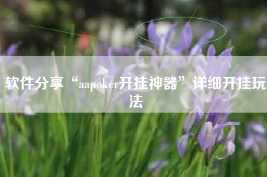 软件分享“aapoker开挂神器”详细开挂玩法