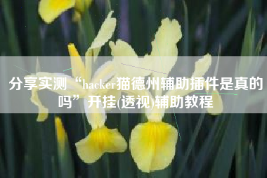 分享实测“hacker猫德州辅助插件是真的吗”开挂(透视)辅助教程