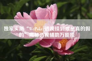独家实测“WePoker透视挂到底是真的假的”揭秘透视辅助万能挂