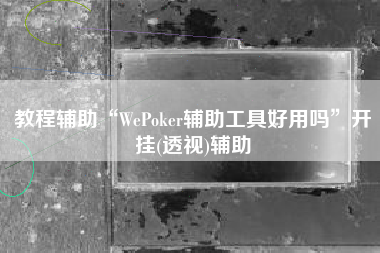 教程辅助“WePoker辅助工具好用吗	”开挂(透视)辅助