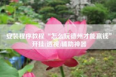 安装程序教程“怎么玩德州才能赢钱”开挂(透视)辅助神器