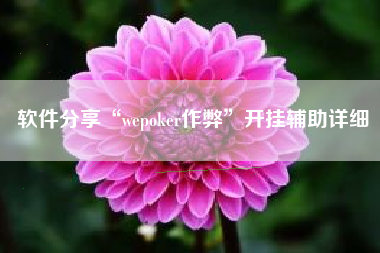 软件分享“wepoker作弊”开挂辅助详细