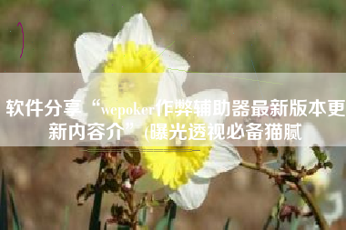 软件分享“wepoker作弊辅助器最新版本更新内容介”(曝光透视必备猫腻