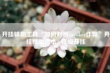 开挂辅助工具“如何判断wepoker作弊”开挂辅助脚本+详细开挂