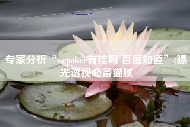 专家分析“wepoker有挂吗 百度知道”(曝光透视必备猫腻