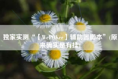 独家实测“【WePOKer】辅助器脚本”(原来确实是有挂)