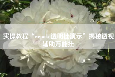 实操教程“wepoke透明挂演示”揭秘透视辅助万能挂