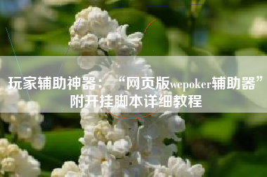 玩家辅助神器：“网页版wepoker辅助器”附开挂脚本详细教程